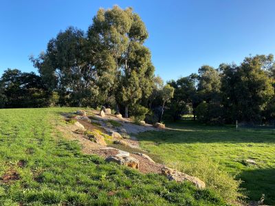 Garden makeover Tylden after photo